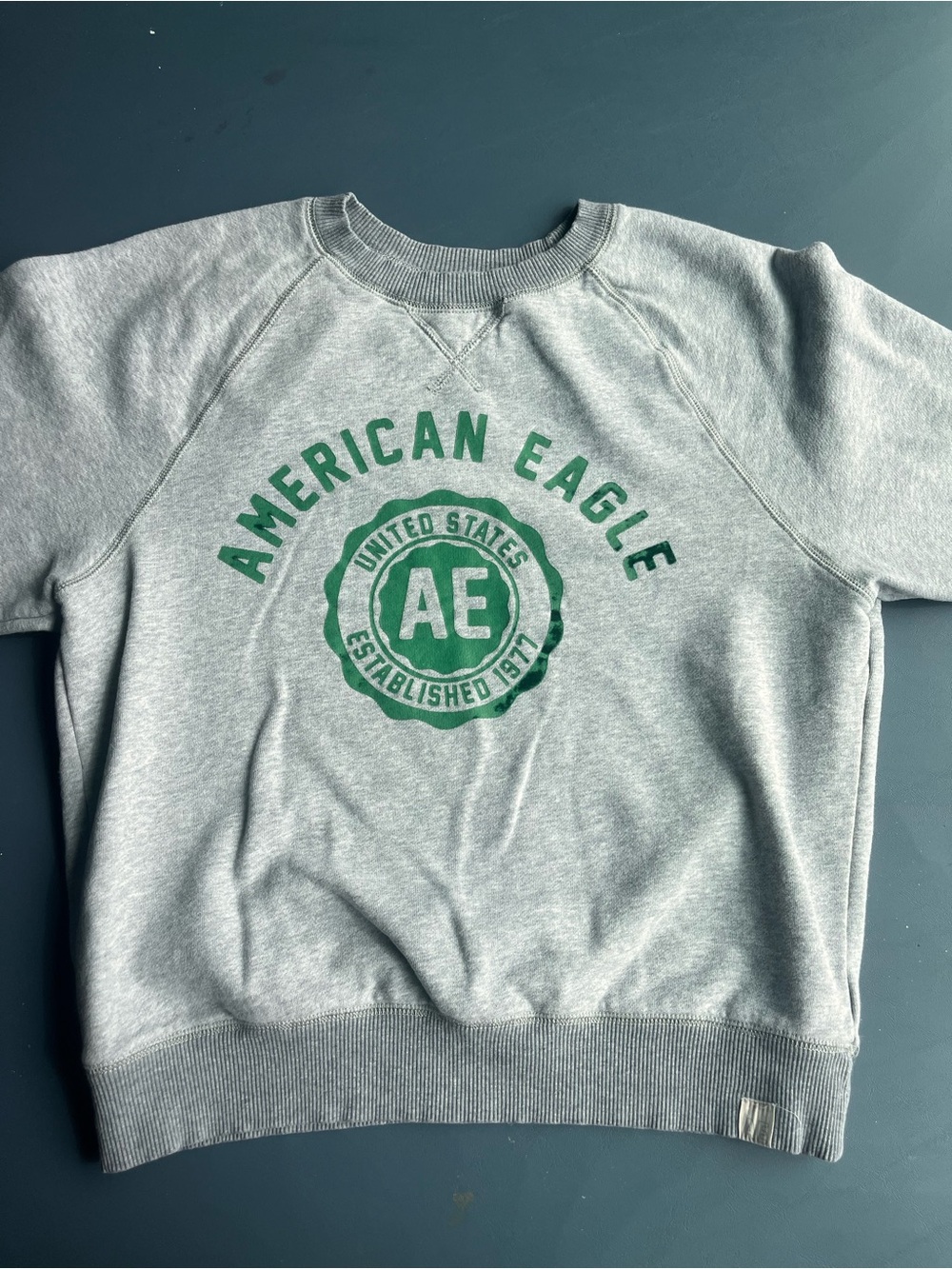 American Eagle Outfitters Light Gray Sweatshirt with Green Chest Logo